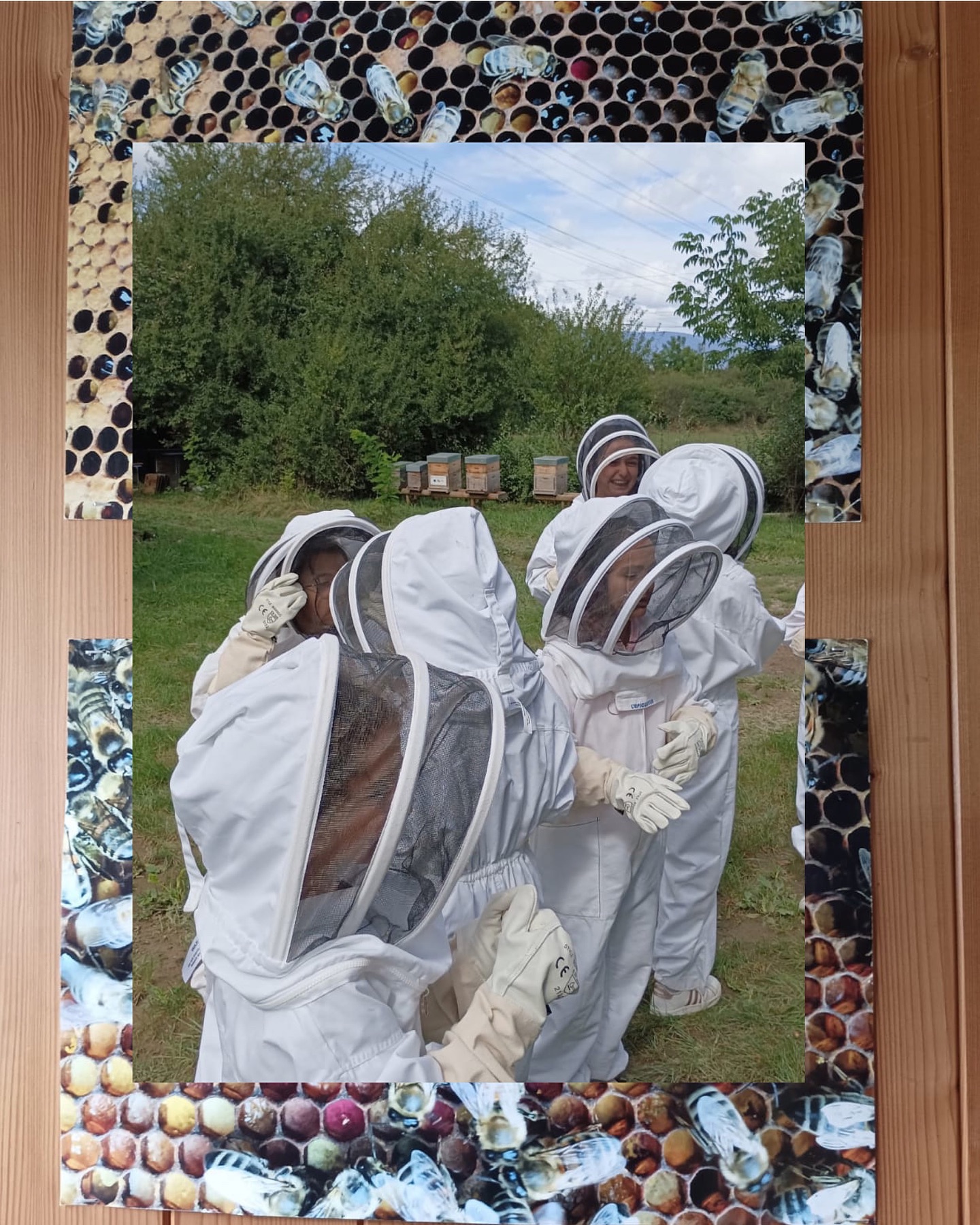 Se préparer à Roch Hachana avec tous nos sens! 🍯 Plusieurs classes ont visité un rucher où ils ont pu découvrir de près le processus de la fabrication de miel par les abeilles 🐝
#ecolejuivedegeneve #ecolehabad #jewishschool #ecolejuive #habadgeneve