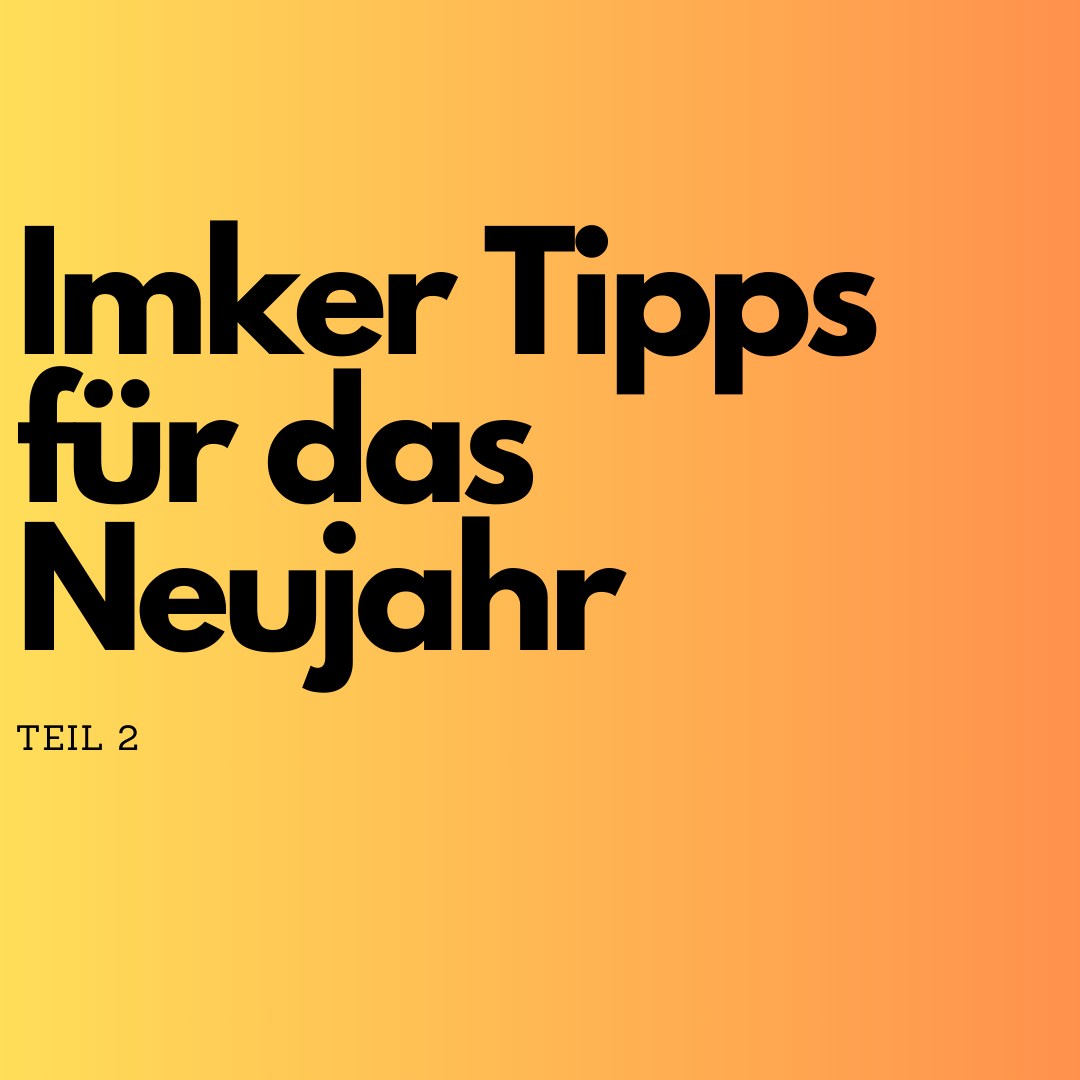 🐝✨ Imker-Tipps für das neue Jahr – So unterstützt du deine Bienen! 🌿🍯
Hier sind drei wichtige Maßnahmen, die du für einen erfolgreichen Start ins neue Imkerjahr beachten solltest:
🌬️ Bienenstand überprüfen: Stelle sicher, dass dein Bienenstand gut geschützt ist. Entferne Schnee oder Eis vom Flugloch, damit die Luftzirkulation erhalten bleibt, und achte auf eine saubere Umgebung, um deinen Bienen die bestmöglichen Bedingungen zu bieten. ❄️🐝
🩺 Gesundheit der Bienenvölker überwachen: Im Frühjahr ist es wichtig, die Völker gründlich zu kontrollieren. Achte auf mögliche Anzeichen von Krankheiten wie Nosema oder Varroa-Befall und habe Behandlungspläne bereit, um schnell reagieren zu können. 🌿🐝
🤝 Community und Austausch suchen: Vernetze dich mit anderen Imkern, tausche Erfahrungen aus und unterstütze Neueinsteiger bei ihren ersten Schritten. Gemeinsam können wir mehr erreichen und die Bienenhaltung für alle spannender und erfolgreicher gestalten! 💛🐝
Mit diesen Maßnahmen legst du den Grundstein für ein gesundes und erfolgreiches Jahr in der Imkerei! 🐝✨
#ImkerTipps #Bienenkugel #NachhaltigeImkerei #Bienenliebe #RettetDieBienen #BienenFreunde #Naturschutz #GemeinsamFürDieBienen