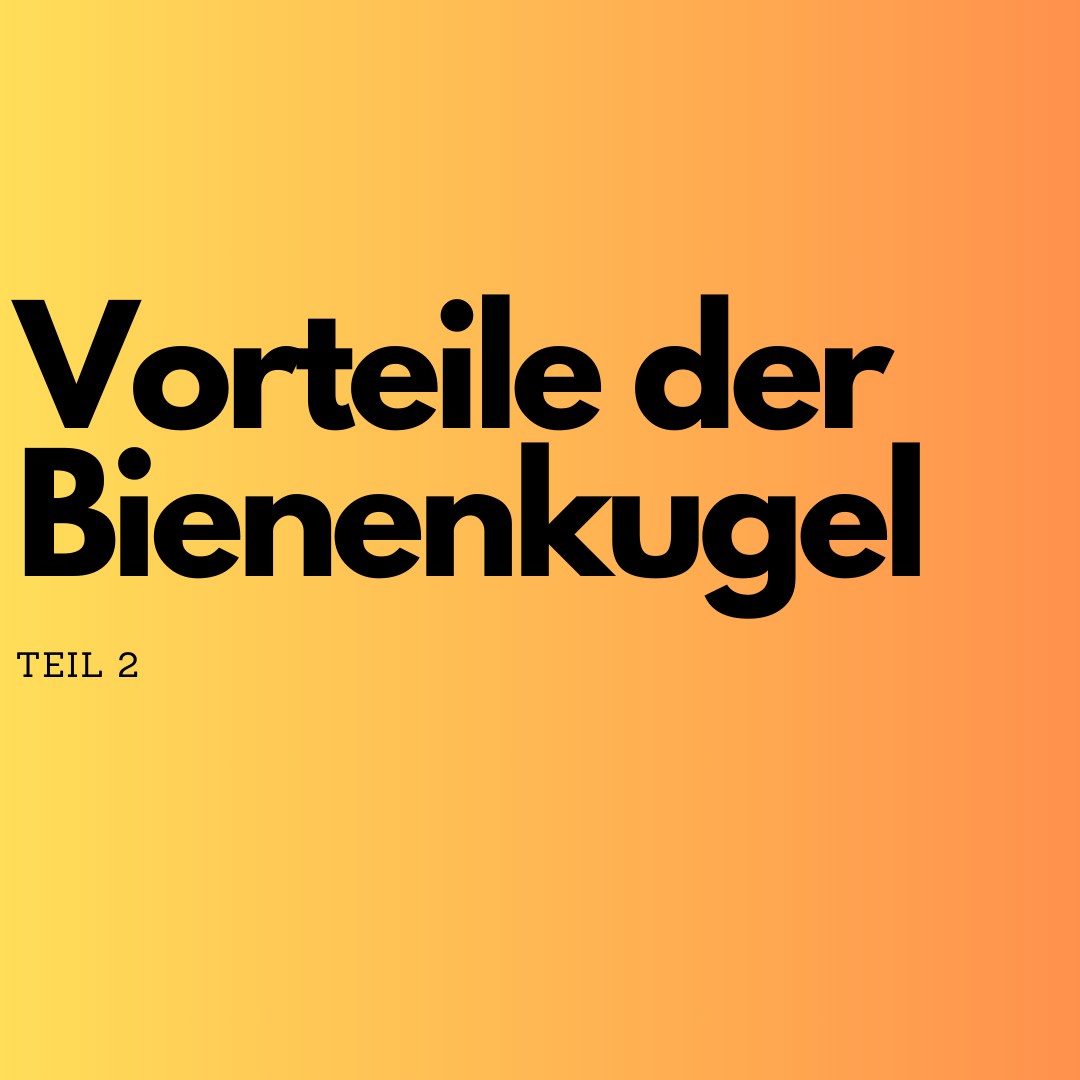 🐝✨ Drei weitere Vorteile der Bienenkugel 🌿🍯
1️⃣ Weniger Varroa-Druck & gesündere Bienen 🐝🛡️
Durch die naturnahe Haltung und den freien Wabenbau entwickeln die Bienen ein besseres Hygieneverhalten, was den Varroa-Befall reduzieren kann. Gesunde Bienen bedeuten widerstandsfähigere Völker!
2️⃣ Wirtschaftlich & nachhaltig 🌍💛
Die Bienenkugel ermöglicht eine effiziente Honigproduktion mit geringem Arbeitsaufwand. Dank der optimierten Wärmeregulierung benötigen die Bienen weniger Futter und Energie, was langfristig Ressourcen spart.
3️⃣ Flexibel einsetzbar – für Stadt & Land 🏡🌳
Ob im eigenen Garten, auf dem Balkon oder auf dem Feld – die Bienenkugel eignet sich für verschiedene Standorte und passt perfekt zu nachhaltigen Stadt- und Landimkereien.
🌿 Die Bienenkugel – für gesunde Bienen und eine blühende Natur! 🐝💚
#Bienenkugel #NachhaltigeImkerei #Bienenfreundlich #RettetDieBienen #Bienenwohl #NaturnaheImkerei #InnovativeBienenhaltung