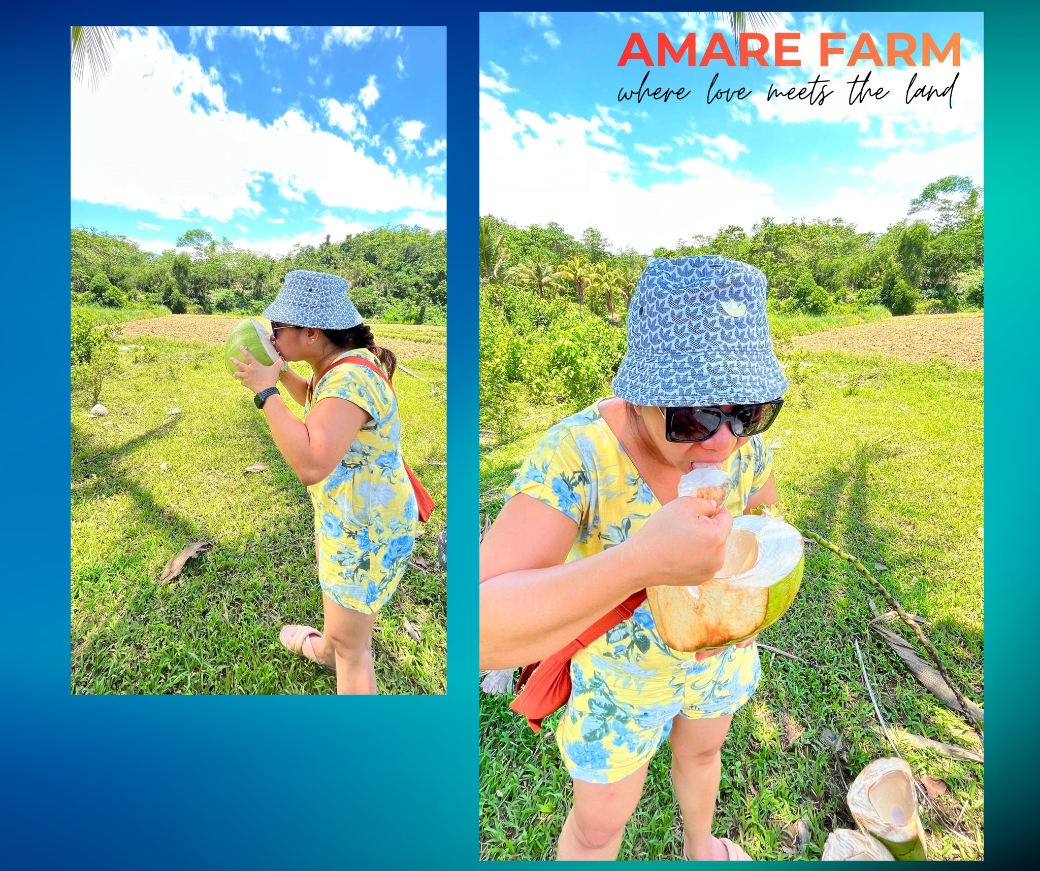 Hydration level: Coconut approved! ππ₯₯
#AmareFarm #CocoMoments #WhereLoveMeetsTheLand