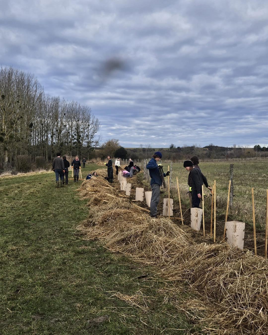 Un grand merci aux bénévoles qui sont venus planter une partie des 2300 mètres de haies prévus pour cette année dans nos prairies. 🌳
Merci à la maison.botanique.boursay La Maison Botanique atelier vivant pour la faisabilité de ce projet.
.
.
.
#eboutique #sitemarchand #produitsduterroir #terrines #artisanal #highlandcattle #valleedelacisse #farmer #eleveur #paysan #ferme #animaux #loiretcher #regioncentre #nature #mangerlocal #mangersain #producteurslocaux #elevage #agriculture #animals #valdeloire #loirevalley #prairie #ventedirecte #laviealacampagne