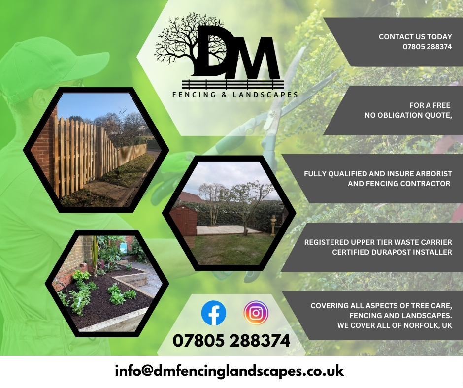 Are you looking to get your fence re-done after the windy weather, but don't know who to call?
Give these guys a call on: 07805 288374 no need to wait, do it today!
#fencingandlandscaping #fencing #dmfencingandlanscapes #DM #SmallBusinessUK #supportlocal #norfolk #advertiser #brandpromotion
