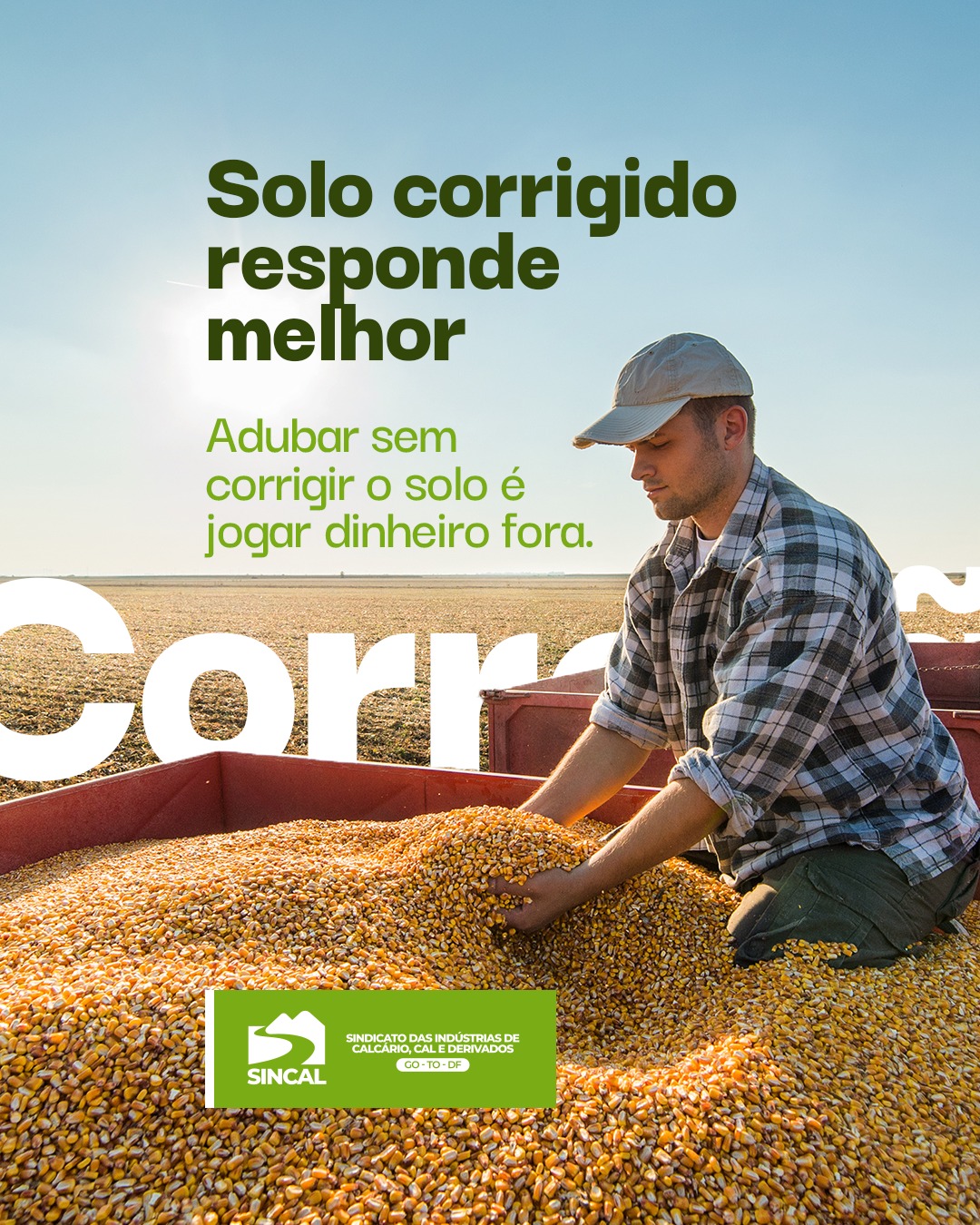 O calcário prepara o caminho para os nutrientes fazerem efeito. #AgroConsciente