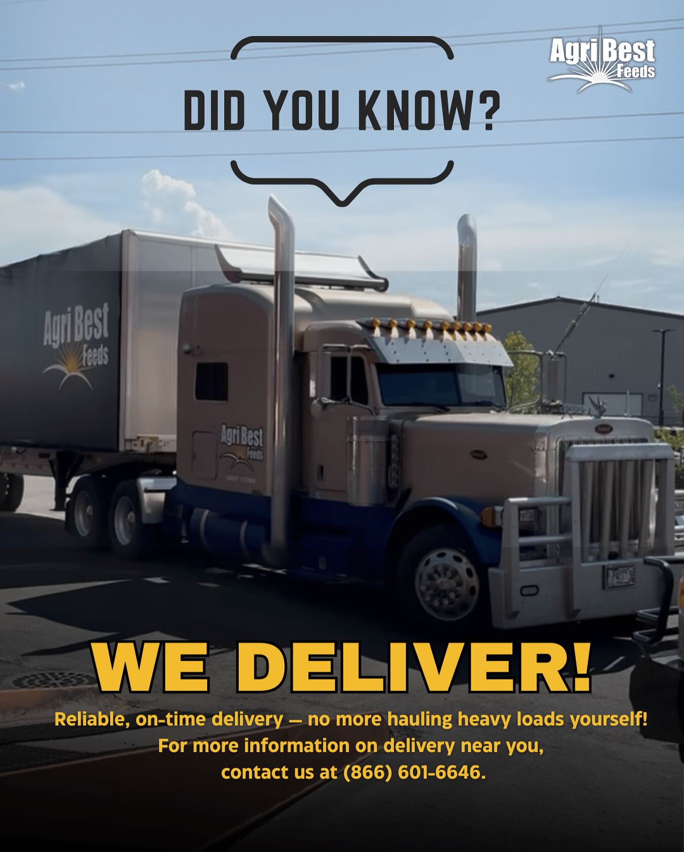 From our farm to yours, straight to your door — agribestfeeds.com delivers! 🌾 Start your order today!
#agribestfeeds #ranching #farmdelivery #cattleranch #horsesupplements #livestockfarming