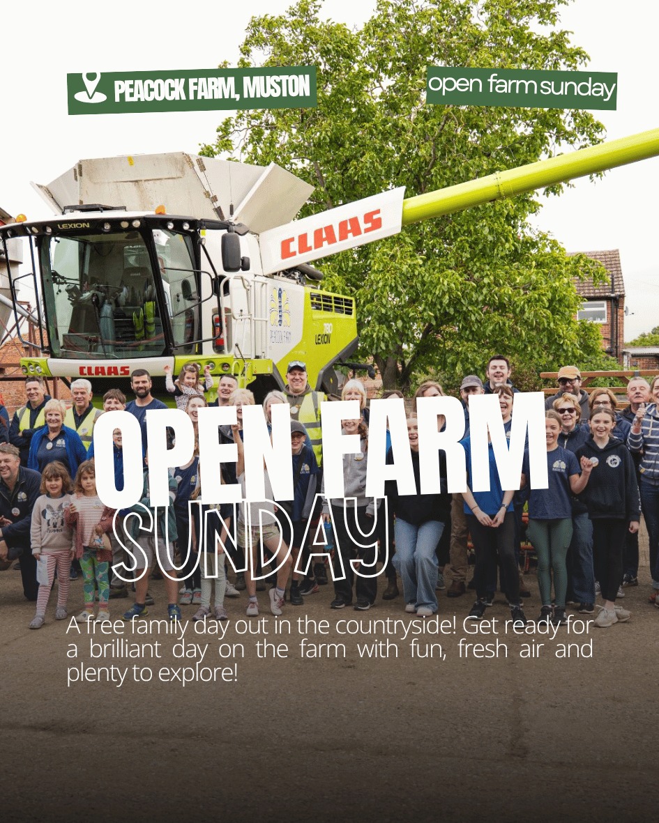 🌿 THIS SUNDAY: Open Farm Sunday at Peacock Farm! 🚜🐑
Get up close to farm life in Muston, near Melton Mowbray with farm tours, machinery displays, meet the animals, hands-on activities, food and more!
It’s free, fun and perfect for a family day out on a farm! 🙌
👉 Tap the blog in bio for all the details:
https://discovermelton.com/blog/
#OpenFarmSunday #PeacockFarm #MeltonMowbray #FamilyDayOut #Leicestershire #DiscoverMelton #FarmLife #ThingsToDo #VisitLeicester