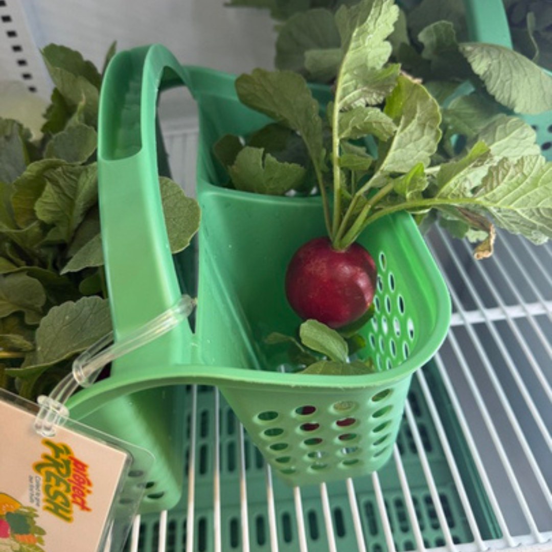 We're so grateful for our friends at @chslf! They have a food pantry that serves people from Lake Forest, Lake Bluff & Knollwood. ProjectFRESH delivered fresh radishes that were donated on Sunday and delivered Monday.
Your support makes a real difference. 60% of the households served are senior citizens, and 50% of the Lake Bluff clients served are children.
🥔🧅This Sunday, we're collecting Yukon Gold potatoes and onions for the Food Pantry at Church of the Holy Spirit. Feel free to pull up to the front door between 9 & 9:30 am if you need help unloading. You can also donate financially to ProjectFRESH to support this important ministry. Thank you for helping care for our neighbors!!
https://bit.ly/donate2projectFRESH
#lakeforestillinois #lakebluffillinois #knollwoodil #projectfresh #stjameslutheranlakeforest