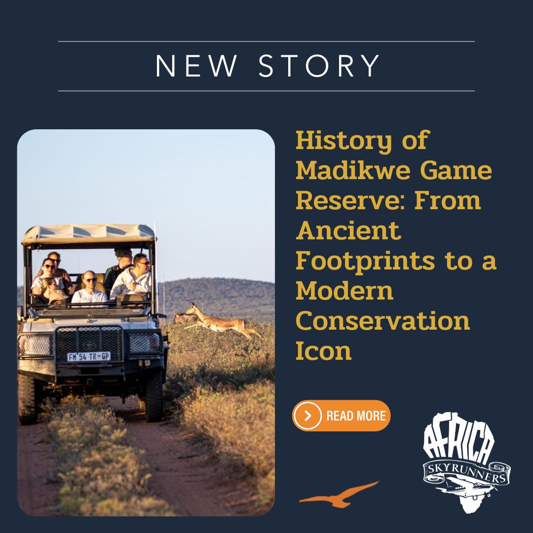 From ancient toolmakers along the Marico River to one of Africa’s largest wildlife translocations, Madikwe Game Reserve’s past reveals a landscape shaped by both deep human history and bold modern conservation.
Read more about the history of this unique conservation area.
Comment the word NEWS and we will send you the link via DM.
#AfricaSkyRunners #MadikweGameReserve #FlyingSafari #SouthernAfrica