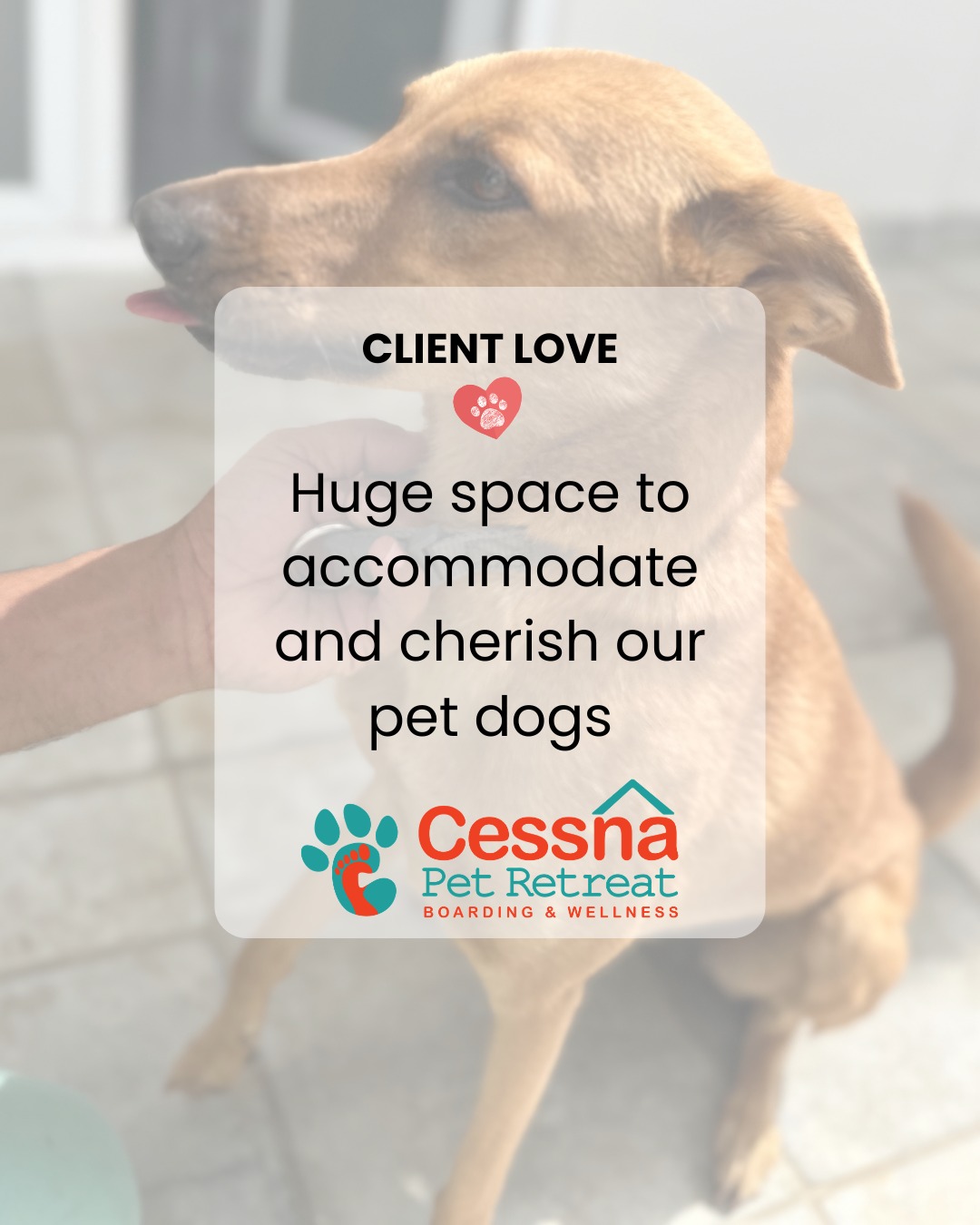 Every review means the world to us. ❤️🐾
When pet parents trust us with their furry family members, it's a responsibility we never take lightly. From spacious stays and supervised playtime to personalized care and lots of cuddles, our goal is simple: make every pet feel safe, comfortable, and loved.
Thank you for trusting Cessna Pet Retreat to be your pet's home away from home. 🏡
✨ Have your pets stayed with us before? We'd love to hear about their experience in the comments!
#CessnaPetRetreat #ClientLove #PetBoarding #DogBoarding #PetResort #PetParents #DogParents #BoardingAndWellness #PetCare #HappyPets #PetVacation #DogsofIndia #PetFriendly #PetRetreat #PetBoardingIndia