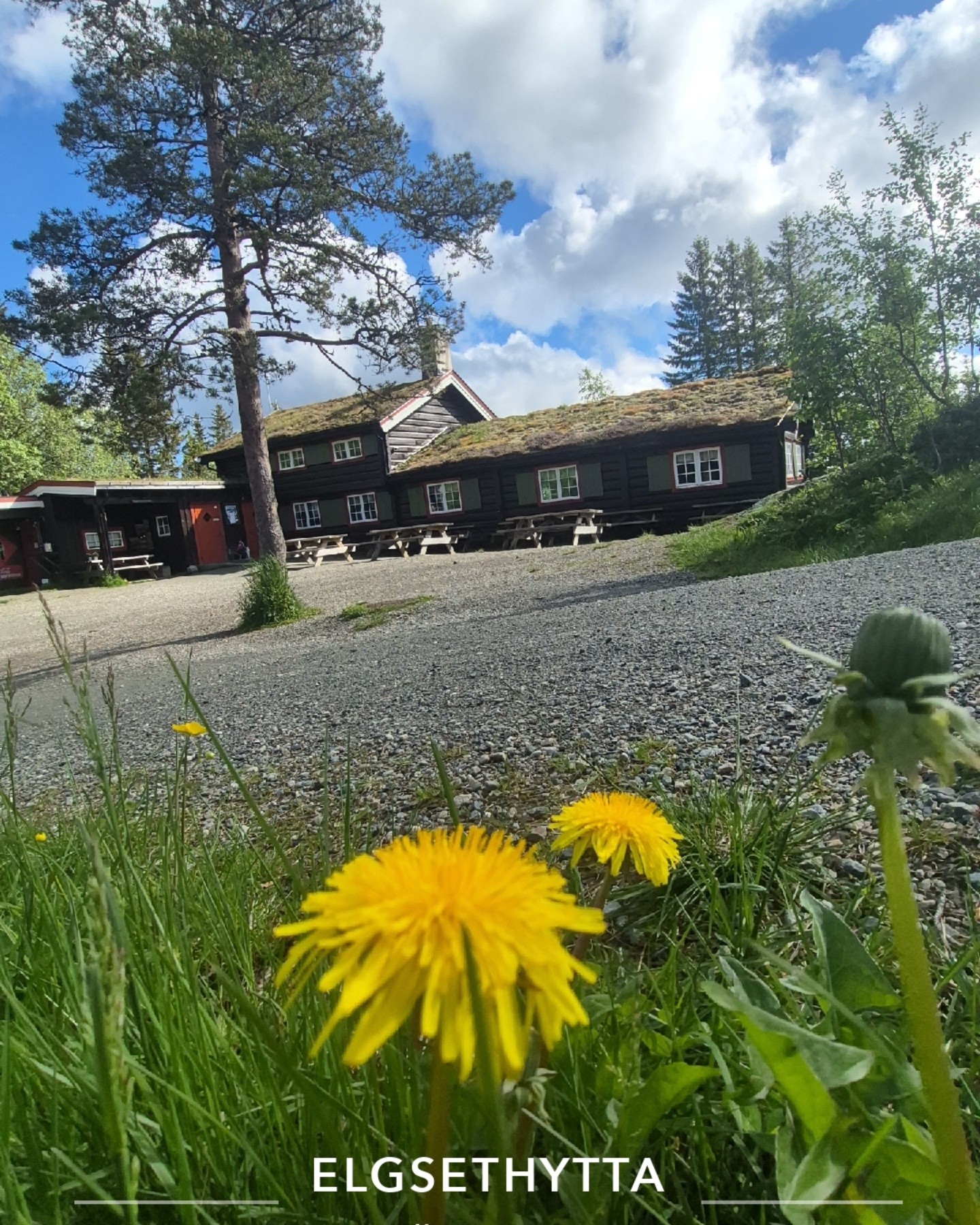 Tirsdag,Tapasbuffet 13.00-19.30
Stenger 20.00
Kan melde om nydelig turvær🙂🙂🙂🙂