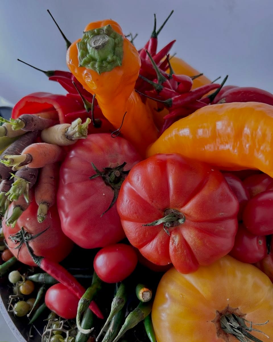 Currently loving: food that looks like art ✨
An edible centrepiece from a recent grazing table, designed to be both visual and vibrant 🍅🥕🌶️