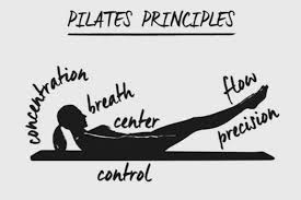 The core principles of Pilates work together to build strength, improve posture, and create mindful movement. Every session is an opportunity to move with purpose and feel your best!