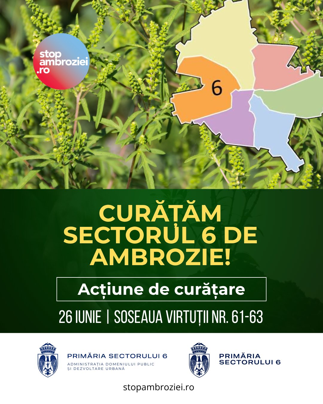 Se caută voluntari!
Asociația Stop Ambroziei organizează vineri, 26 iunie, o nouă acțiune de combatere a ambroziei în Sectorul 6, în parteneriat cu ADPDU Sector 6. Acum este momentul să intervenim: planta nu a înflorit încă, iar fiecare intervenție contează. Dacă aveți o oră sau două la dispoziție, vă așteptăm să dați o mână de ajutor pentru un aer mai curat și un sezon al alergiilor mai ușor.
Înscrieri: https://stopambroziei.ro/voluntariat/