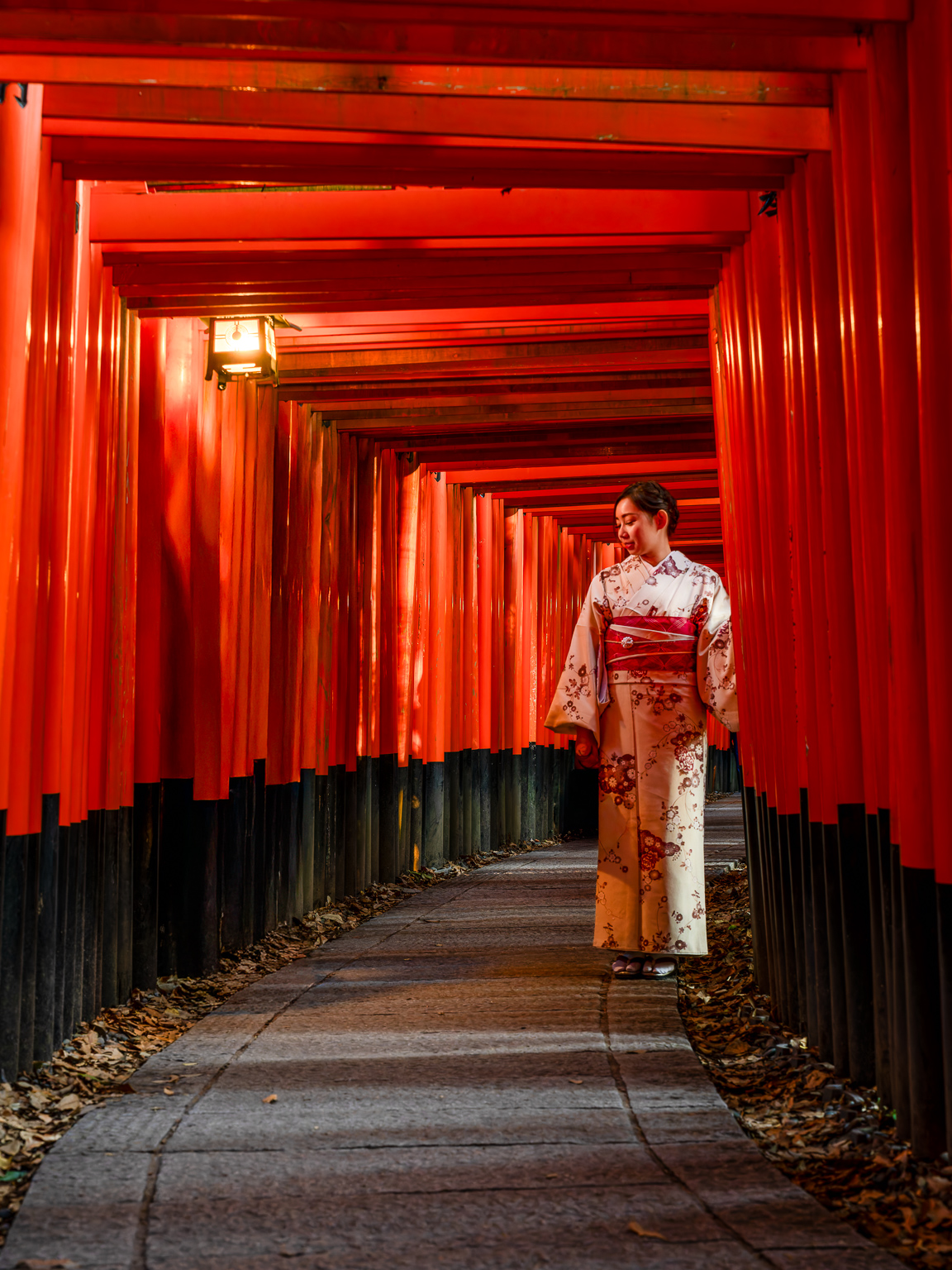 The red of autumn somehow feels even more vibrant when paired with Japan's iconic torii gates. Walking through tunnels of vermillion gates surrounded by crimson maple leaves is a photographer's dream and an experience I never tire of. Counting down the days until I'm back in Japan this autumn to capture these magical moments all over again. #ToriiGate #JapanMoments #AutumnPhotography #VisitJapan #TravelPhotographer