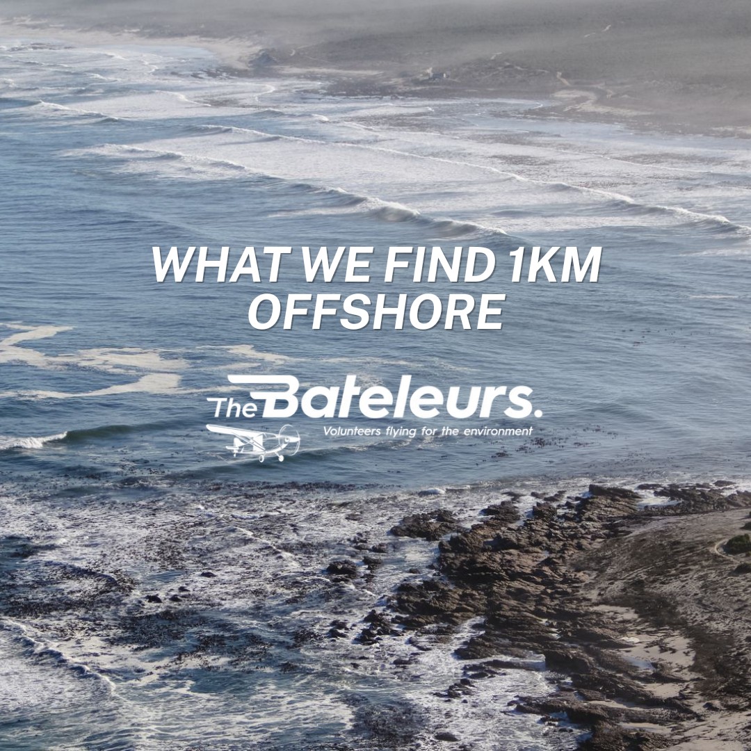 One kilometre offshore from South Africa's most popular beaches, the ocean tells a different story to what the tourist sees.
Runoff. Algal blooms. Pollution plumes from river outflows. Ship discharge. The aerial perspective makes visible what the beach-goer never sees and what regulators need to know.
The Bateleurs fly offshore and coastal monitoring missions supporting South Africa's marine conservation authorities.
The ocean doesn't have a voice. We help give it one.
📧 steve@bateleurs.org
#OceanHealth #MarineMonitoring #TheBateleurs #CoastalConservation #SouthAfrica #MarineProtection #VolunteersFlying