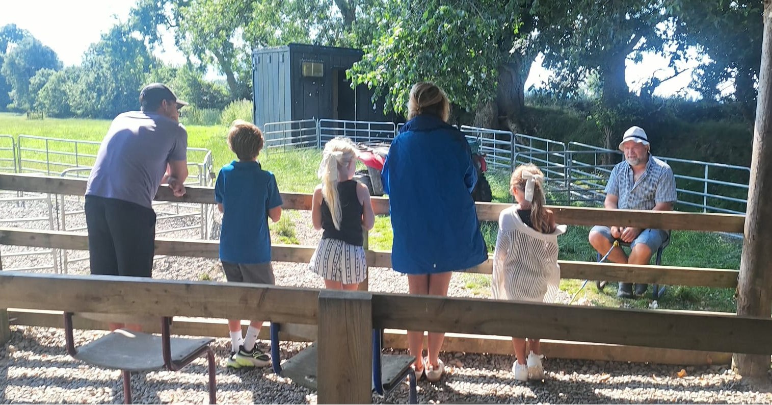 This is what a private family tour looks like: no big groups, no fixed stops — just your family and a guide who goes at your pace. On this Wicklow & Kilkenny Day Tour, what started as a quick stop turned into one of the highlights of the day: a visit to the farm.
Thanks to our guide Thomas for the photo! 📸
What's your idea of the perfect family day out?👇🏻