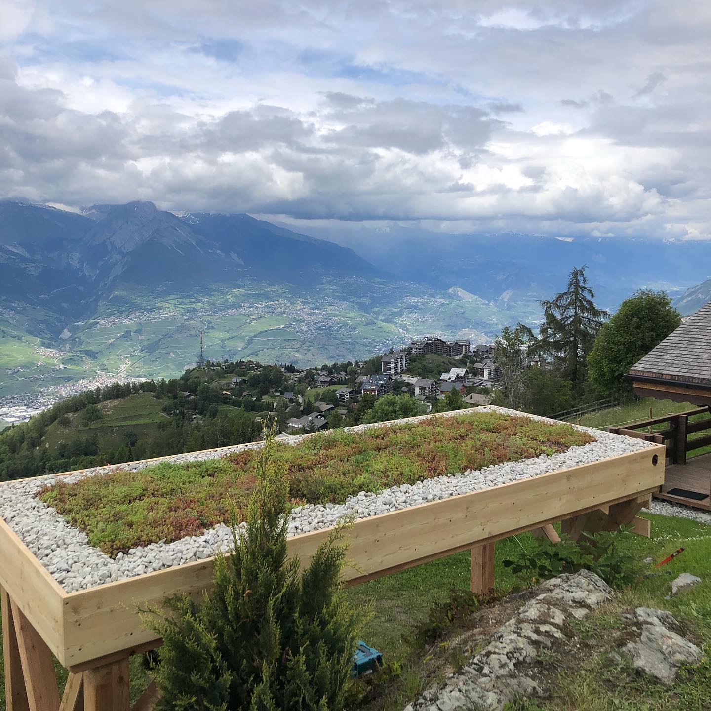 The versatility of the @grufekit_ch supplied by @futureecosystems. This is a small but mighty sedum green roof on a BBQ cover.
#bbq #sedum #greenroof #greenroofs #nature #biodiversity #garden #landscaping #construction #home #landscapedesign #grufekit #ansglobal #valaiswallis #nendaz #nendazswitzerland #sion #vaud #geneva