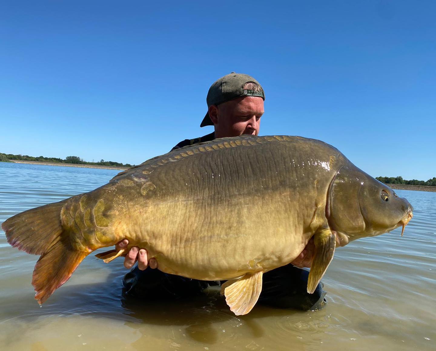 Big banger from a reservoir in France!!
Wel done Mitchel🏴!!
#mysterybaits
#scopexnaturel
#sweetsquid
#karpervissen
#carpiste
#publiclake
#raptorboats
