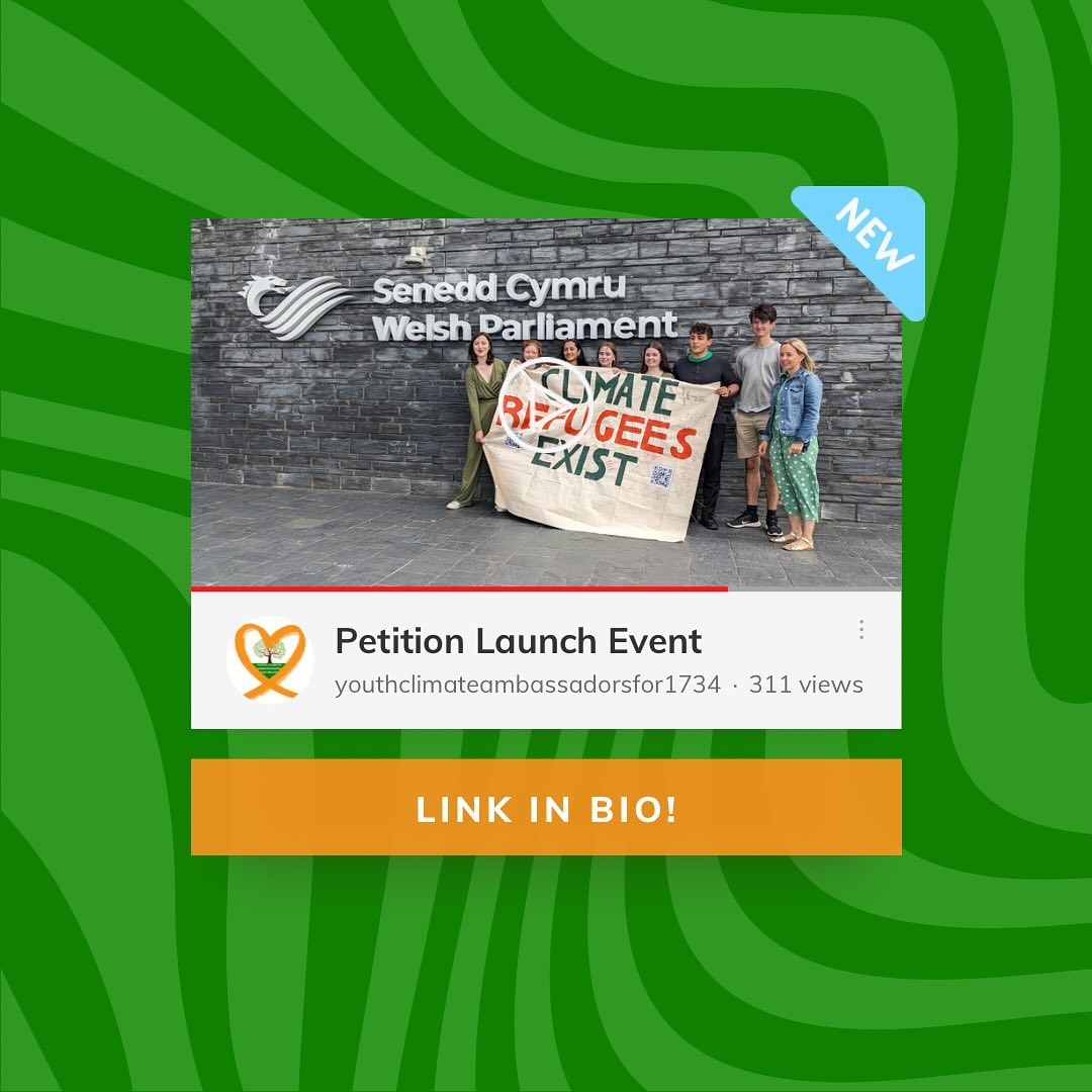 🎉 New Video 🎉
Check out our YouTube channel to see our latest video and see what YCA were getting up to on the Senedd steps!
Follow the linktree in our bio to sign our petition and subscribe!
~ L 🪷 & P 🐯
#ClimateRefugeesExist #youtubechannel #newyoutube #youthactivism #ycawales #subscribe #climatenews #youthactivists #wales #climatechange #ycawales #cymru #climatechangewales #announcement