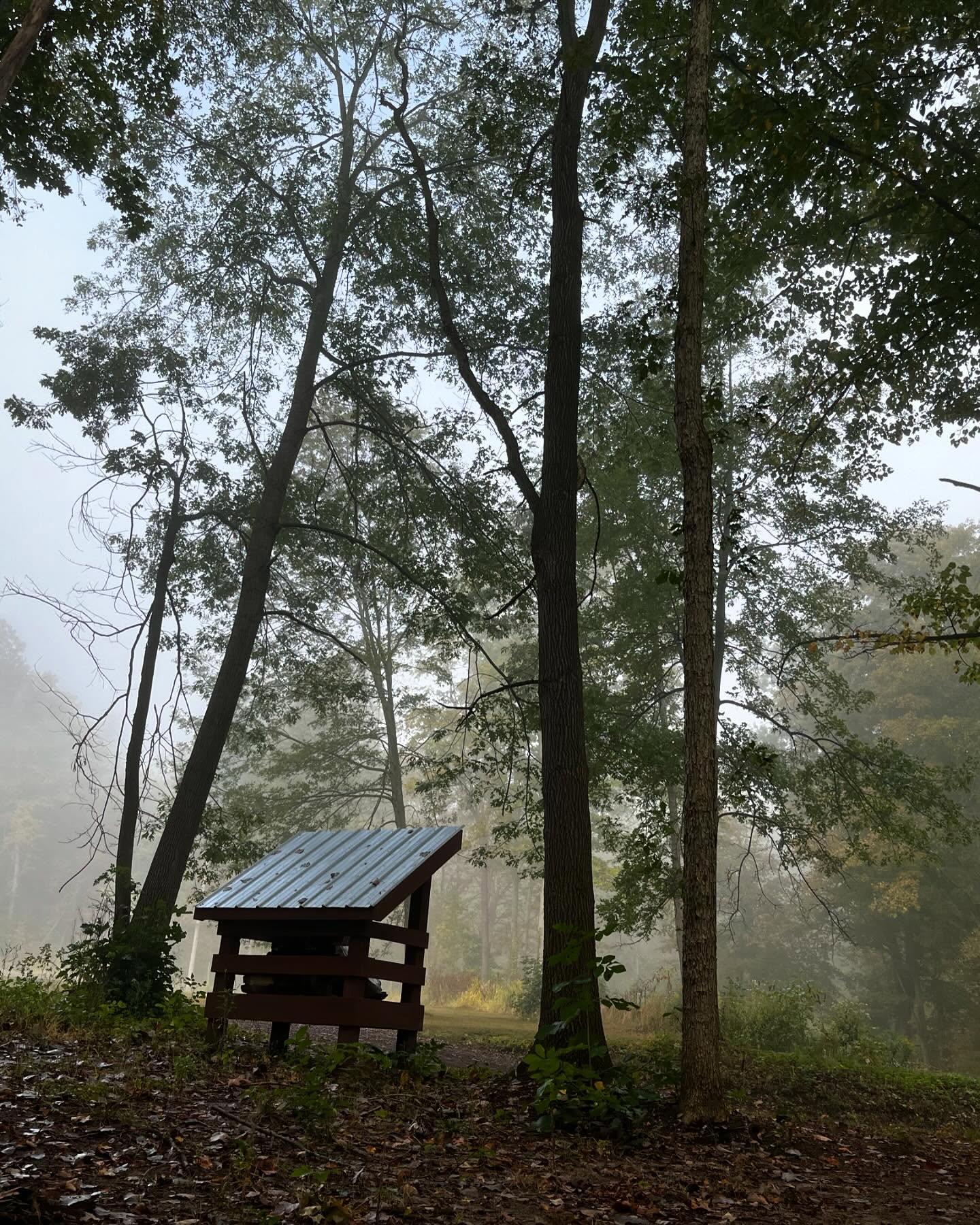 Pictures of this foggy morning don’t even capture how thick or beautiful it really was. #michigansmallbusiness #firewood #riveraridge
