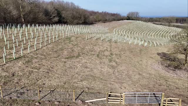 A quick flyover a recent woodland and wood pasture creation project in Derbyshire.