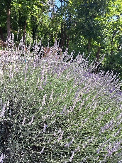 The sun is finally shining so why not escape to the hills...
Villa Rocco is less than 90 minutes from Milan and Turin.
We have availability this week end.
Book directly on our website for the best prices.
#monferratounesco #monferratotourist #monferrato_delights #monferrato #igersmonferrato #bnbpiemonte #bnbmonferrato