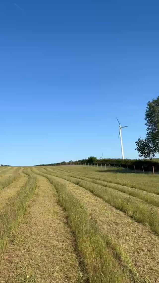 Working on a large maintenance contract for a great client this week ☀️👌🏼
#oliverbrownlimited #countrysidemanagement #interrowmowing #forestry #landmanagement #environmentalmanagement