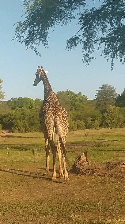 African Adventure Day 1
