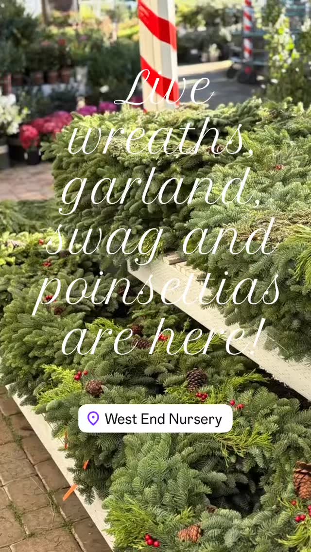 Our live wreaths, garland, swag and poinsettias are here. #holidaydecor #christmasdecor #christmasmarket