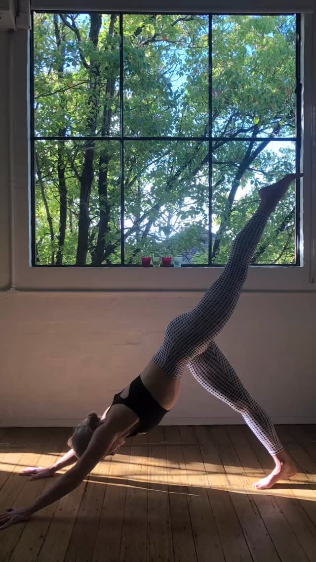 Book via auraandsage.com or link in bio. I need more friends to join me Saturdays: it’s a small space, surrounded by nature- NO loud busy roads. Bliss. Join me tomorrow 🩷🌸#yogageelong #yogaflow