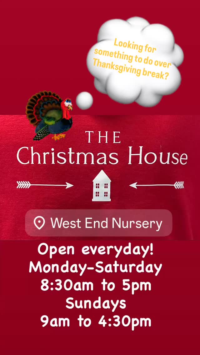 #holidaymarkets #west_end_nursery #thingstodoinmarin