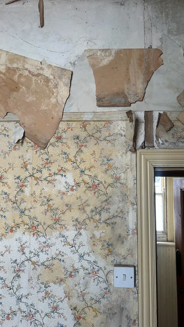 A site visit to our nearly completed site in Pen y Lan. A stunning Edwardian house completely transformed and yet the character of the home shines through caption for Instagram
#cardiffarchitects #cardiffrenovations #cardiffhouse #penylan #roath