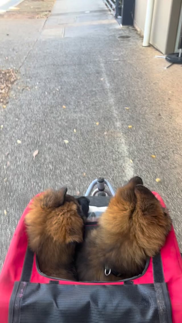 Getting out & about