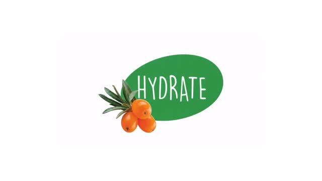 Hydration, the natural way. 🌿🍊
Powered by sea buckthorn, glow, balance, and nourish from within.
-
-
-
#SeaBuckthorn #NaturalHydration #GlowFromWithin #PlantPowered #WellnessDrink