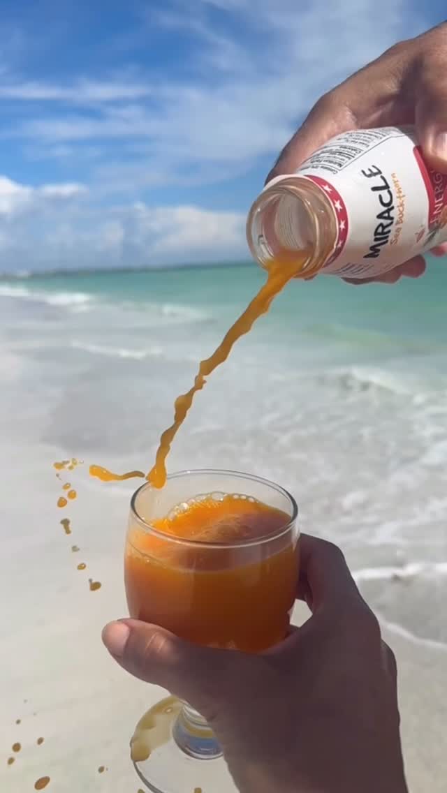 Miracles can happen 🧡❤️
Energize your day the Miracle way with Miracle Sea Buckthorn.
-
-
-
#seabuckthorn #miracleberry #noaddedsugar #naturalwellness