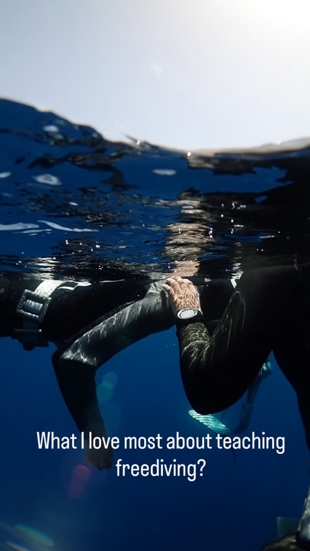It changes everything!
Video by @mleegy
With coachy @ra.di.sli
#freediving #powerofrelaxation #nervoussystemwisdom #somaticexperiencing