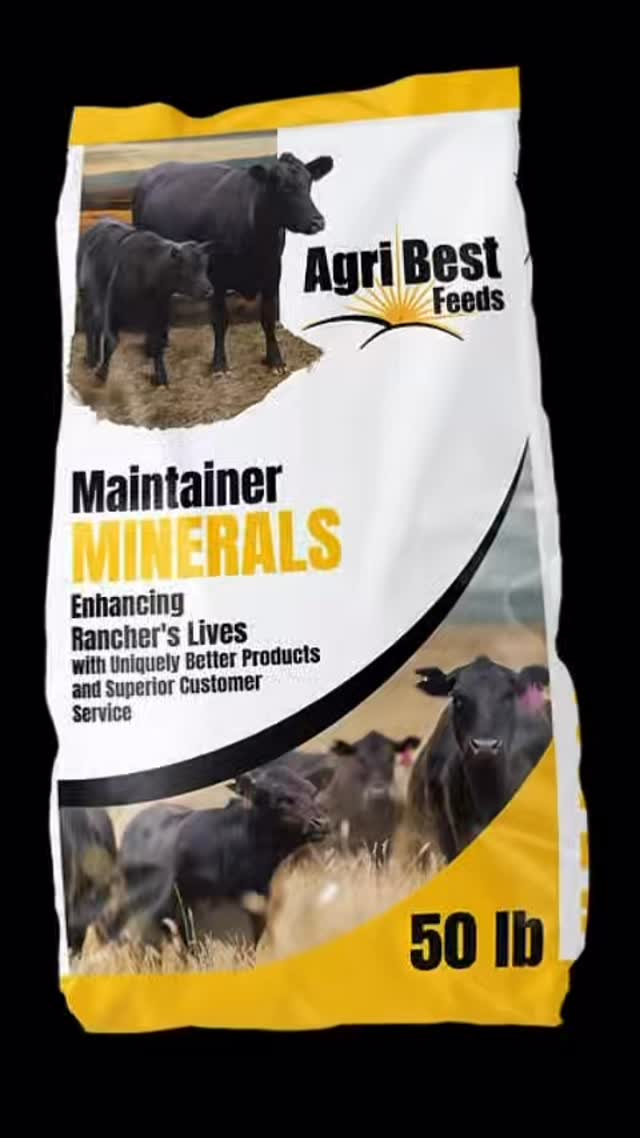 At Agri-Best Feeds, we know exceptional herd performance starts in the rumen. Healthy livestock rely on healthy microbes, and healthy microbes need the right nutrition to thrive.
That’s why every Agri-Best mineral formulation is designed to do more than fill nutritional gaps—it helps activate and support the digestive system that powers performance from the inside out.
Healthy rumen. Healthy herd. Better results. 🌾
https://www.agribestfeeds.com/products/loose-mineral
#AgriBestFeeds #LivestockNutrition #HerdHealth #RumenHealth #CattleNutrition AnimalPerformance FeedEfficiency HealthyHerd