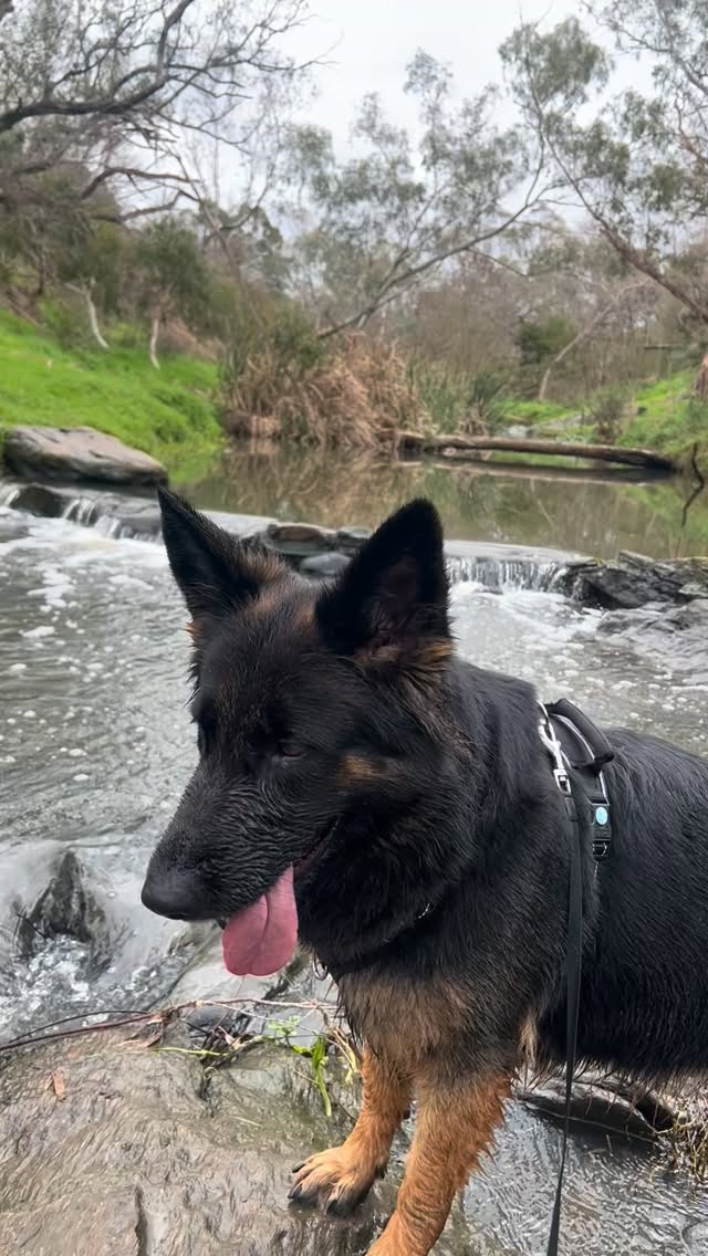 Today’s little adventure