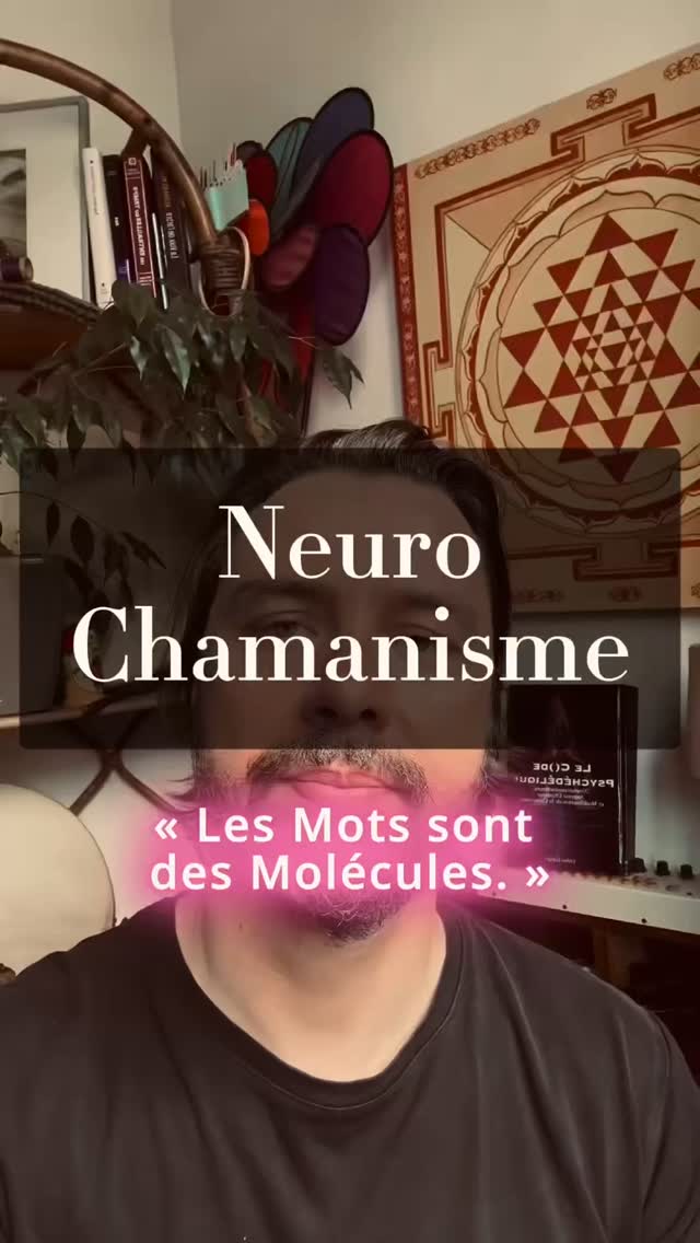 Pour aller plus loin et cartographier ça de manière personnelle en session privée, on peut en discuter pour voir si c’est utile de travailler ensemble.
Le neurochamanisme combine notamment la PNL, l’hypnose, le corps et les états transcendentaux #hypnose #neurochamanisme #pnl