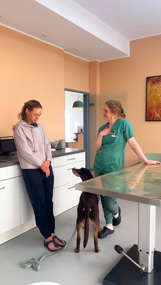 Morgendliche Waschbär-Übergabe 🦝