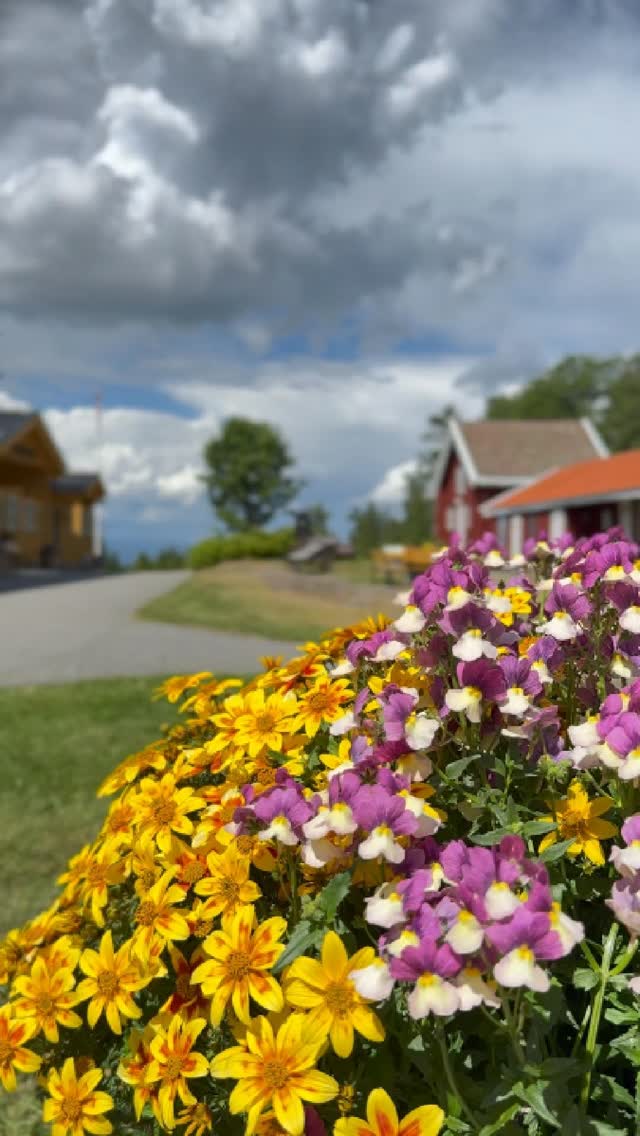 Bak et vakkert hotell ligger mange flinke hender.
Takket være vår husøkonom Aiste blomstrer Kleivstua litt ekstra i sommer.
#kleivstua #sommerpåkleivstua #blomsterglede #norgesferie #visitgreateroslo