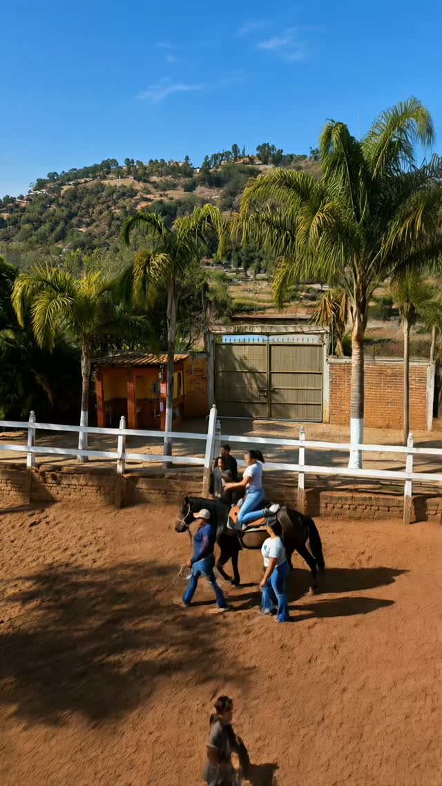 Los caballos logran lo que muchas terapias convencionales no logran? 🐴✨
En Clínica 7 Ángeles somos los únicos en la región con equinoterapia para personas en proceso de recuperación de adicciones.
La equinoterapia para adictos va mucho más allá de montar un caballo. Es una terapia especializada donde el animal refleja honestamente lo que el paciente siente por dentro, sin juicios, sin mentiras.
Los caballos detectan ansiedad, miedo y tensión emocional de manera instintiva. Por eso trabajar con ellos obliga a los usuarios a conectar con sus emociones más profundas de una manera que otras terapias simplemente no alcanzan.
Como parte de nuestro programa completo de terapias para adictos, la equinoterapia complementa el tratamiento psicológico individual, familiar y grupal del Modelo Minnesota, creando una experiencia de sanación verdaderamente integral.
Los resultados hablan solos: mayor autoestima, desarrollo de responsabilidad, control emocional y conexión genuina con el presente.
📱 WhatsApp para conocer nuestro tratamiento de adicciones completo.
Clínica 7 Ángeles
La Clínica de Rehabilitación en Adicciones #1 en la Región
Morelia Michoacán
☎️ 4435280745
#terapiaparaadicciones #equinoterapia #clinica7angeles