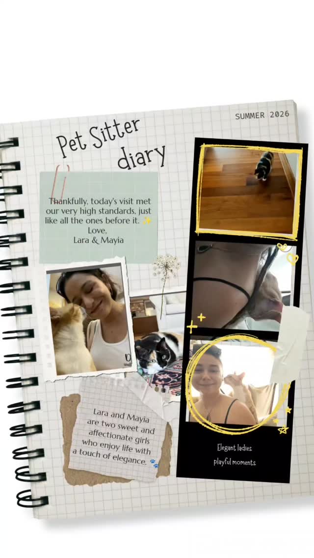 🐾 Pet Sitter's Diary – Lara and Mayia 🐾
Today was spent in the company of two lovely ladies who know exactly what they like.
With a house full of toys to explore and a carefully followed dining routine, every detail of their day was enjoyed exactly as it should be. A visit filled with elegance, sweet moments, and two beautiful feline personalities. 💕