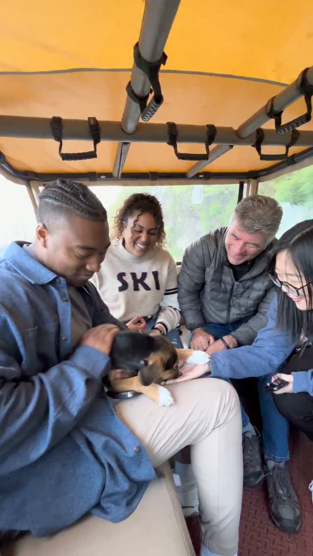 The cutest throwback to our Blue Ridge Parkway trip where we found an abandoned puppy... (that ended up being adopted in no time)...
We do allow doggos on Private trips - please DM us with any questions & we'll do our best to accommodate your group!!!