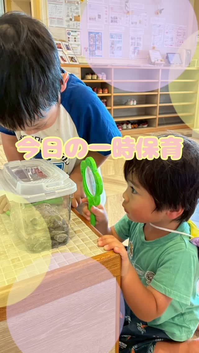 今日の一時保育🌈
3~4歳児のお友だちは、園庭でシャボン玉をしたり
水をさまざまな容器に入れて遊びました🩵
「いっぱいになった!」「こぼれちゃった!」と
発見を楽しみながら、量の違いや水の動きを感じ、
夢中になって遊ぶ姿が見られました😆☀️
0~2歳児のお友だちはお部屋で
好きなおもちゃを選び、それぞれが興味のある
遊びを楽しみました♪
車を走らせたり、おままごとをしたり、
音の鳴るおもちゃなど夢中になって遊ぶ姿が
見られました🥰お友だちの遊びにも興味を示し、
一緒に加わったり遊びを真似して楽しむ姿もあり、
遊びの幅が少しずつ広がっています🌈🌈🌈🌈
#沖縄県豊見城市 #糸満市 #一時保育 #沖縄子育て #ココマリーほいくえん