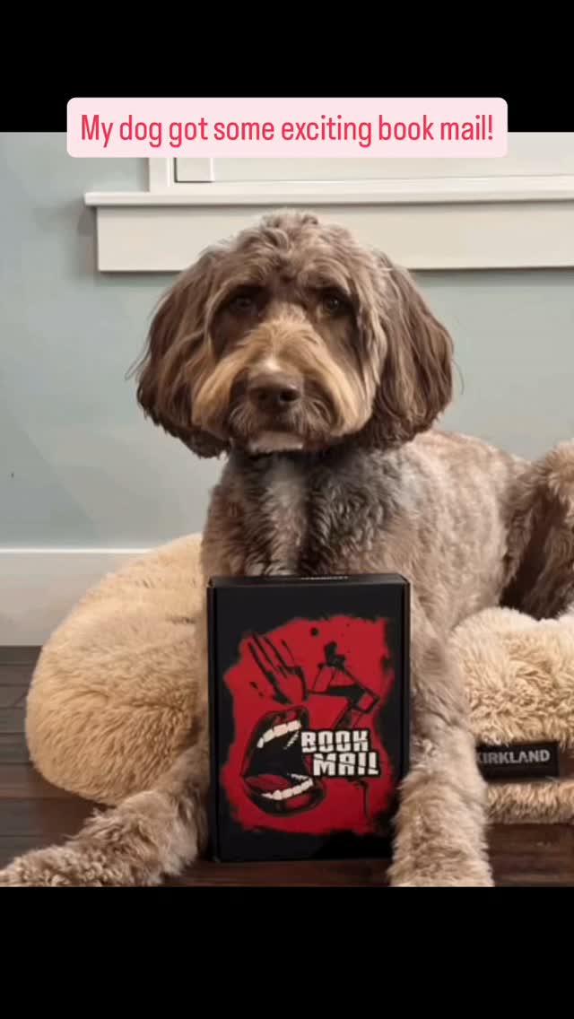 My dog got some exciting book mail! Want to see what it is? Thank you for the book box @entangledteen! THE KlLLING RULES is out August 4th! #summerofscreams #summerween #booktok #bookstagram #dogsandbooks