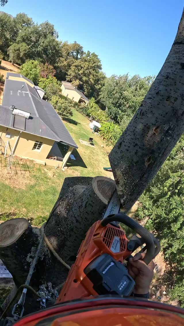 Netjies 👌
@husqvarnasouthafrica for the win when it comes to getting in with a smaller, more focused cut.
#arborist #arboristsofinstagram #treecare