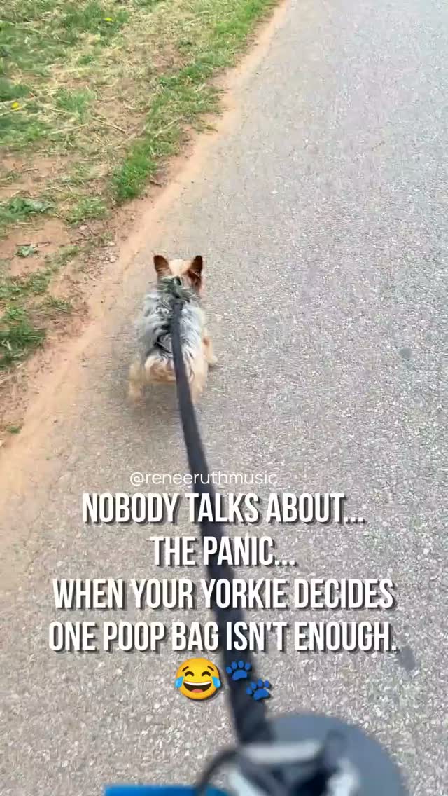 You know that moment when you're feeling like the responsible dog parent... 😌🐾
Leash? ✔️
Treats? ✔️
Poop bag? ✔️
Then your Yorkie looks at you like...
"I wasn't finished." 😂💩
Suddenly you're negotiating with the universe, hoping nobody else walks by while you figure out Plan B. 🤦🏼♀️🤣
Please tell me this isn't just a Joshua thing...
🐶 Has your dog ever given you the "bonus poop" after you thought the walk was over? I need to know I'm not alone! 😂👇
#Yorkie #YorkshireTerrier #YorkiesOfTikTok #YorkieLife #YorkieMom #DogMom #FunnyDogs #SmallDogBigPersonality #DogHumor #PetParents #YorkieLove #DogLife #YorkieCommunity #DogsOfInstagram #DailyYorkie