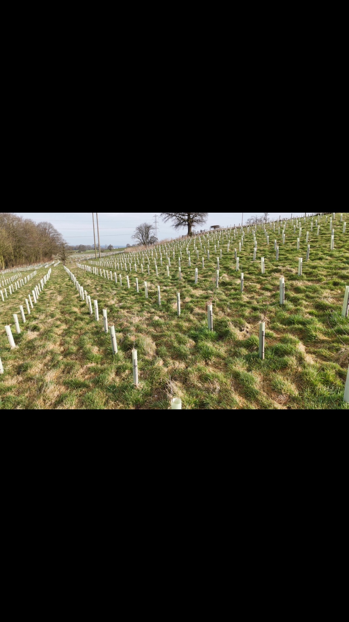 Another quick flyover of a scheme we planted last year. A mixture of woodland creation on unproductive areas and wood pasture on the higher productive ground which can still be grazed. All funded through The National Forest Company 🌳🌲