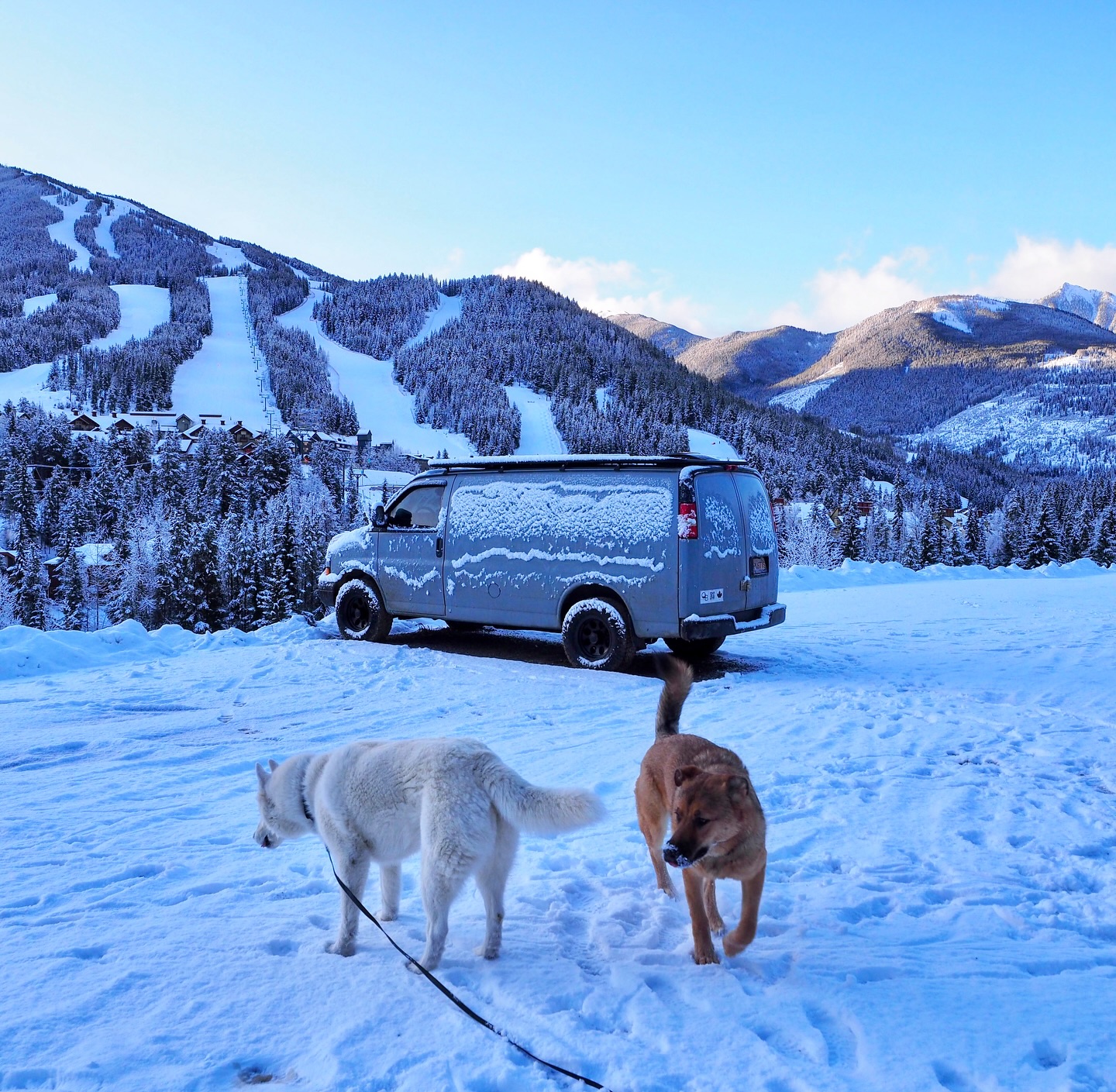 Is there anything better than an impromptu winter road trip? Maybe to some, but not to @squamishmechanic and I 🤷🏼♀️🚐⛷️
▪️ Winter views of the Canadian Rockies
▪️ Skiing at Panorama Mountain
▪️ Exploring 4 National Parks
▪️ A Glacier dip in Marble Canyon (for Hank🤍)
▪️ Catching up with friends along the way
#roadtrip #vanlife #canadianrockies #wintervibes #panoramamountainresort #nationalpark #bcparks #explorebc #westcoast #mountainphotography