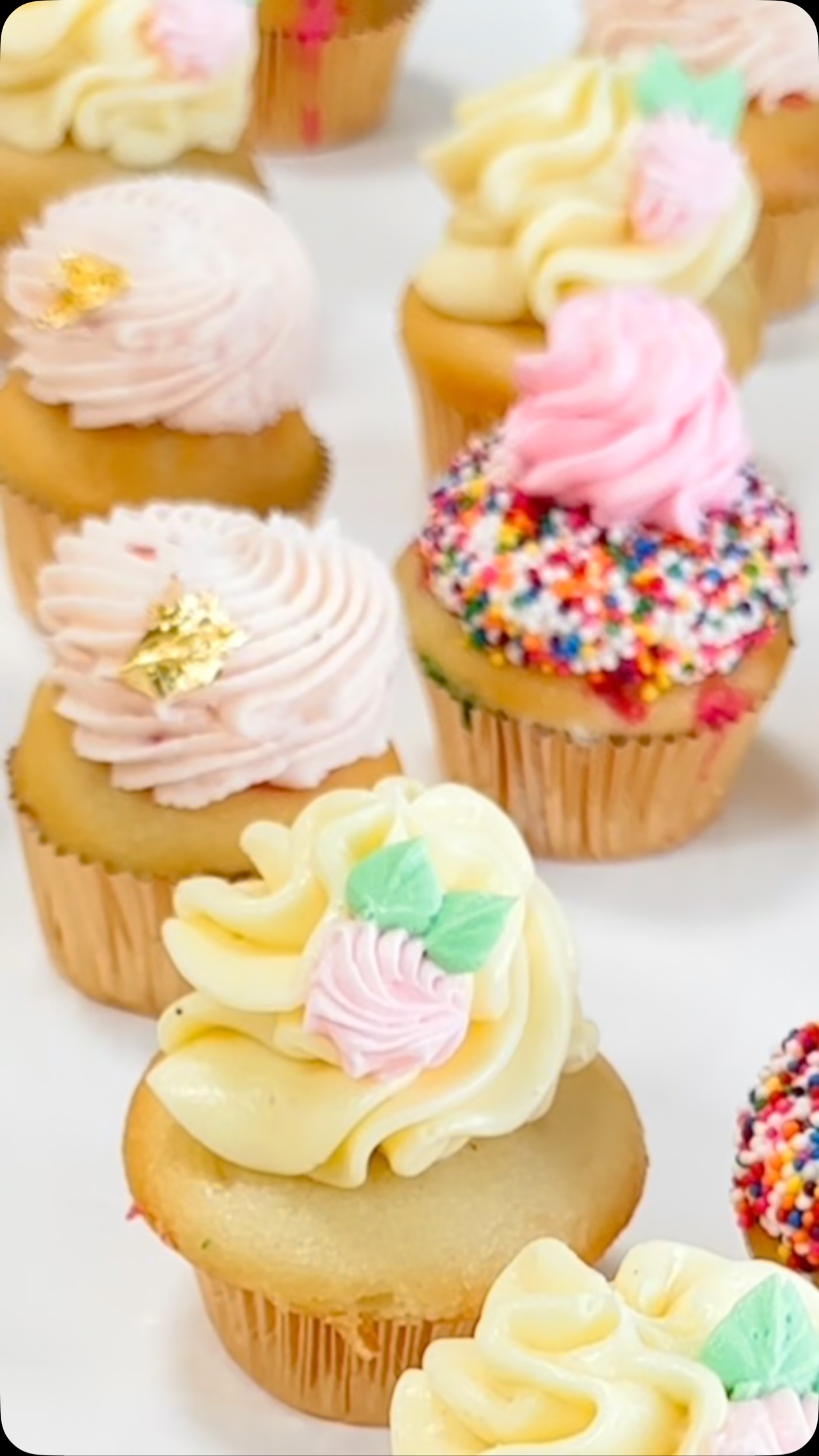 Indulge in the sweet life with our scrumptious cupcakes! Every Tuesday through Saturday from 9 a.m. to 6 p.m., visit us to explore our delightful assortment of 11 mouth-watering flavors.🧁✨